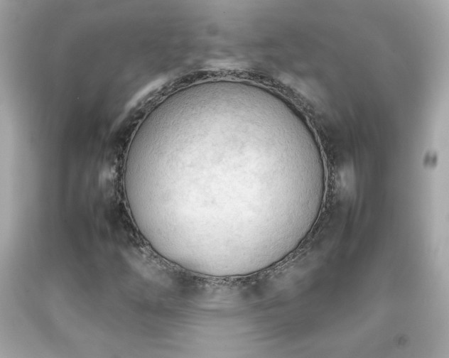 X0000092091254200709121505