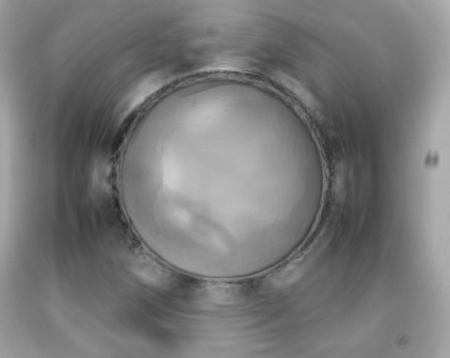 X0000092091258200709121505