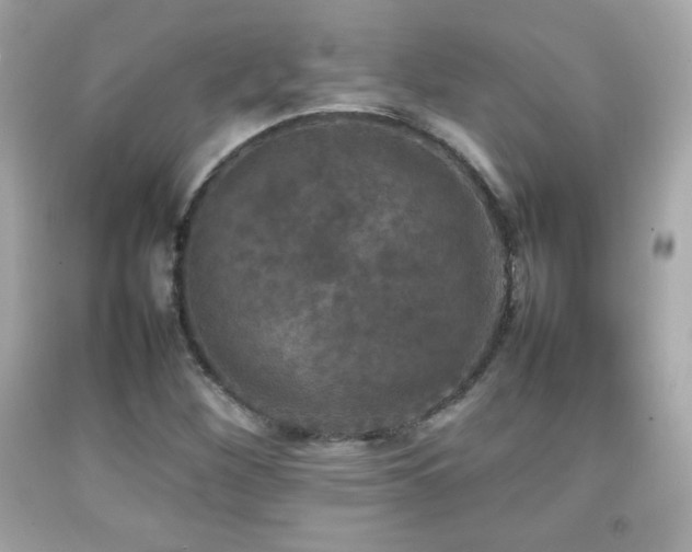 X0000092091260200709121505