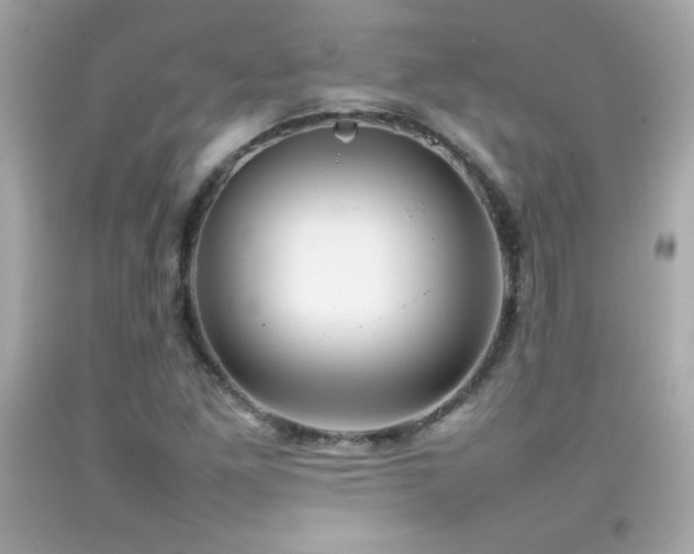 X0000092091261200709121505