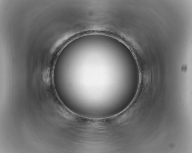 X0000092091262200709121505