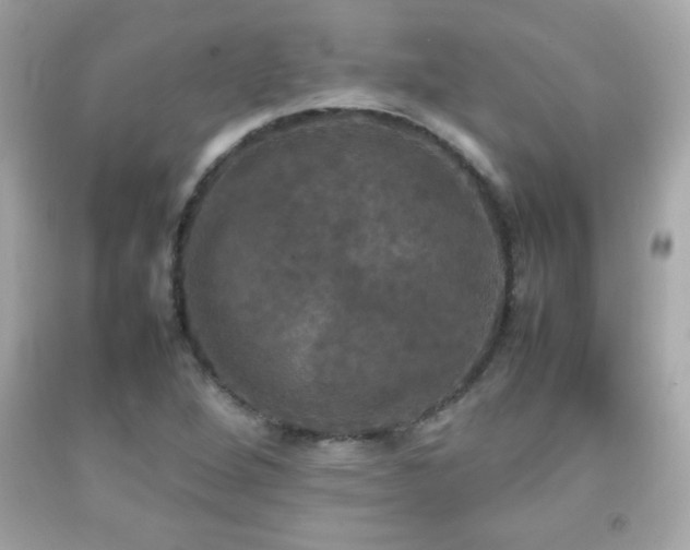 X0000092091264200709121505