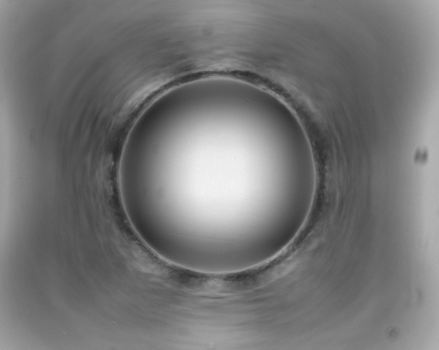 X0000092091265200709121505
