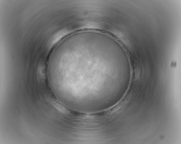 X0000092091266200709121505
