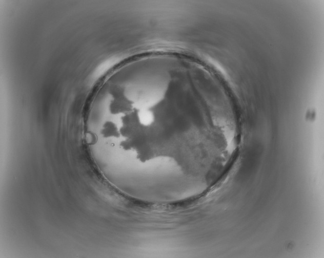 X0000092091267200709121505