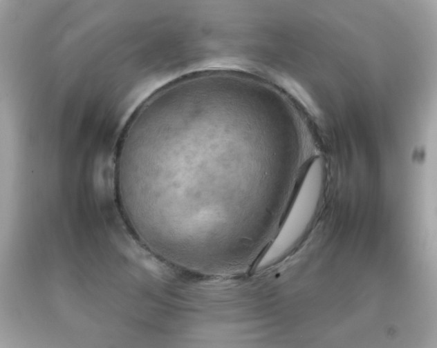 X0000092091268200709121505