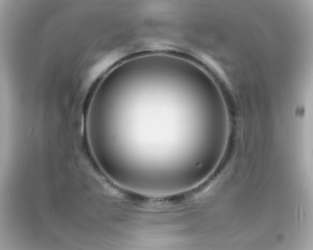 X0000092091269200709121505