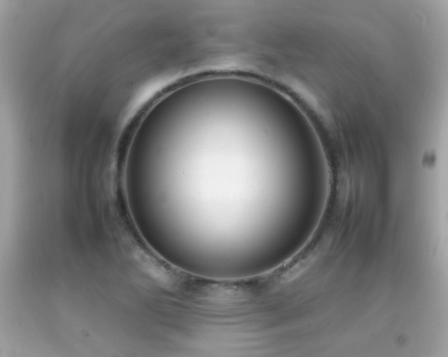 X0000092091270200709121505