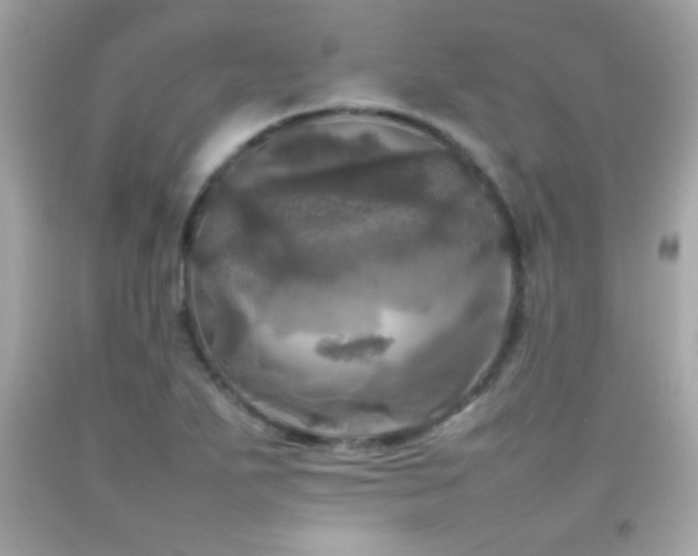 X0000092091271200709121505