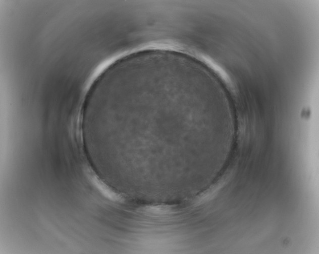 X0000092091272200709121505