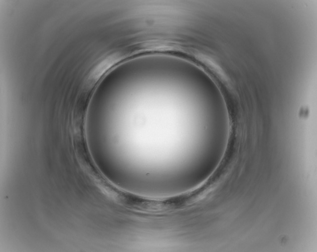 X0000092091273200709121505
