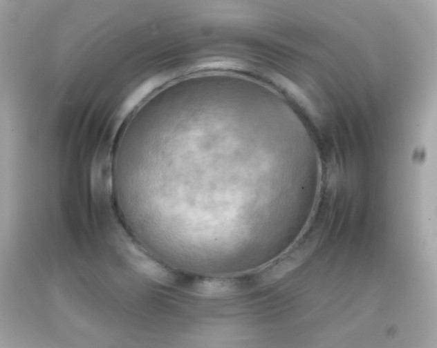 X0000092091274200709121505