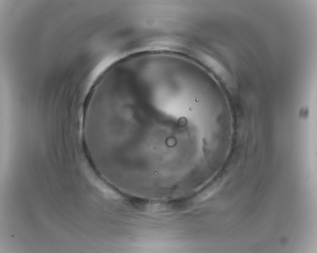 X0000092091275200709121505