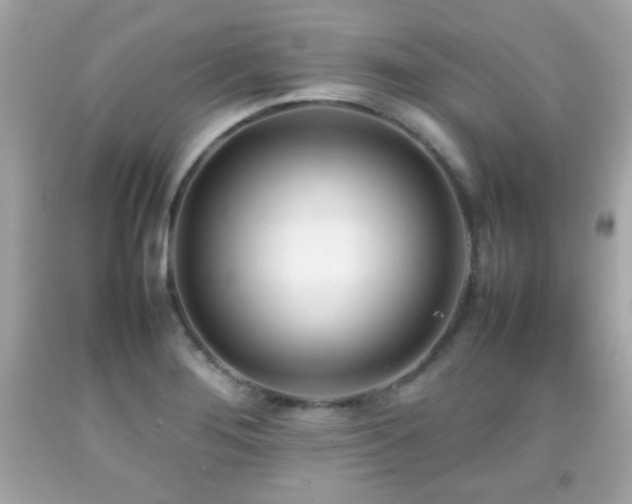 X0000092091276200709121505