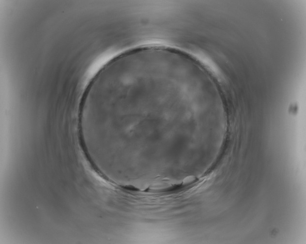 X0000092091279200709121505