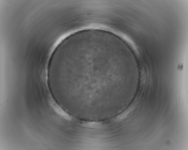 X0000092091280200709121505