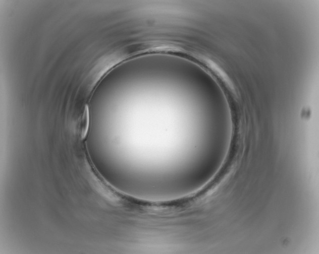 X0000092091281200709121505