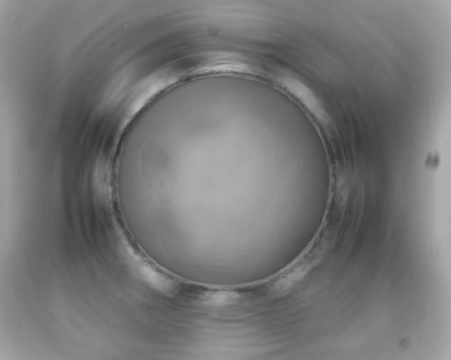 X0000092091282200709121505