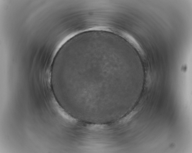 X0000092091284200709121505