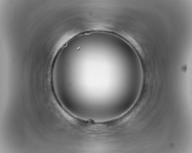 X0000092091285200709121505