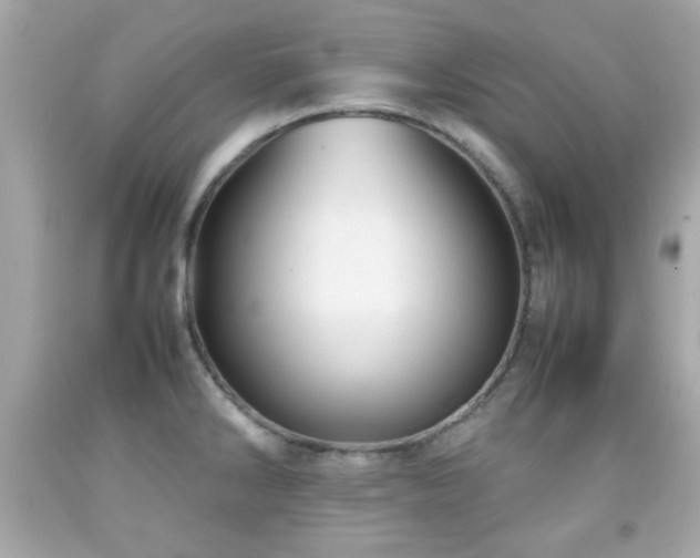 X0000092091286200709121505