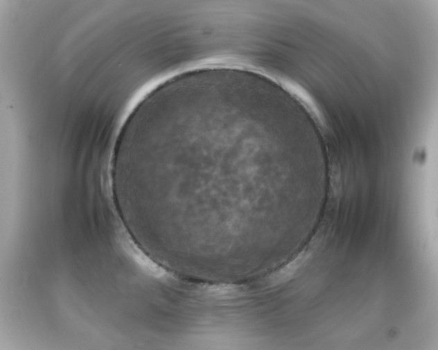 X0000092091288200709121505