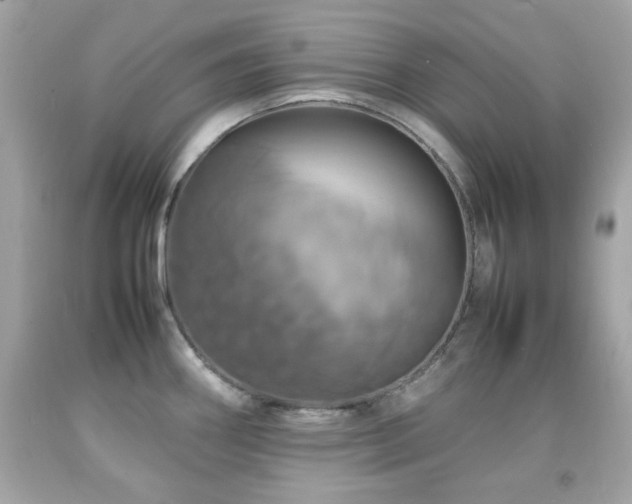X0000092091290200709121505