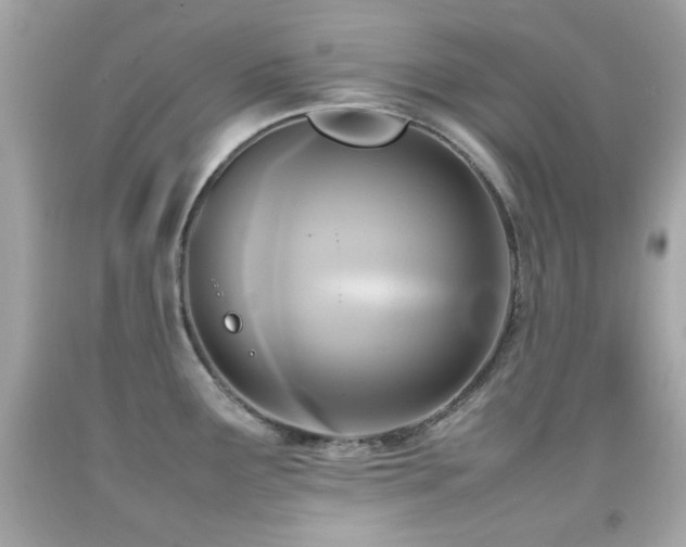 X0000092091291200709121505