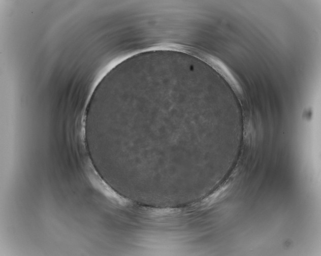 X0000092091292200709121505