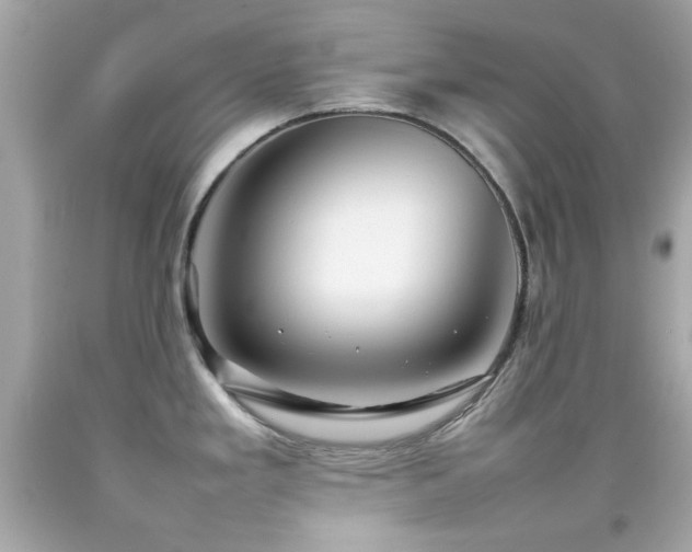 X0000092091293200709121505