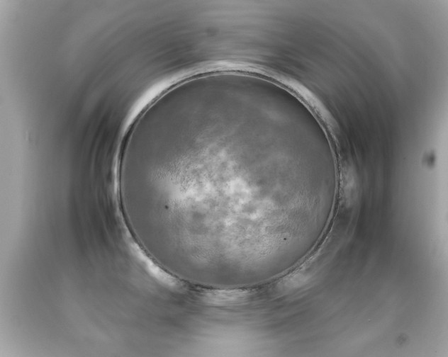 X0000092091294200709121505