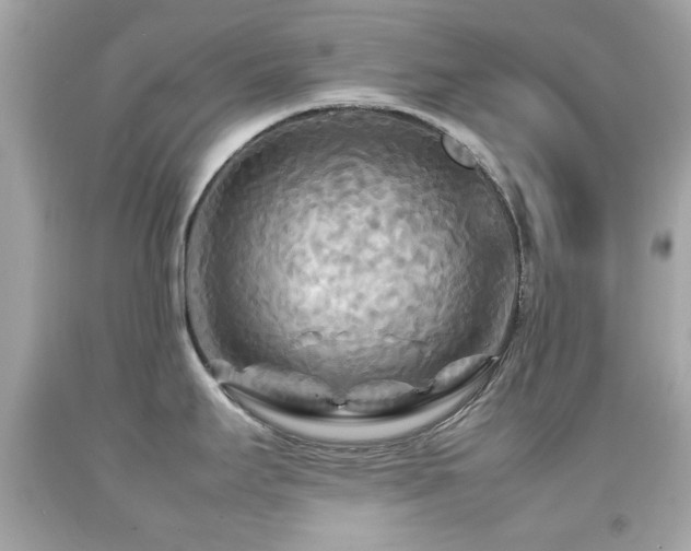 X0000092091295200709121505