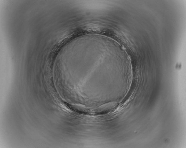 X0000092091297200709121504