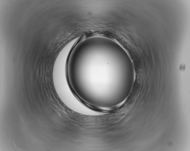 X0000092091298200709121504