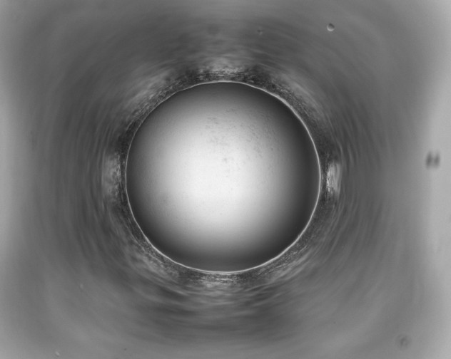X0000092091299200709121504