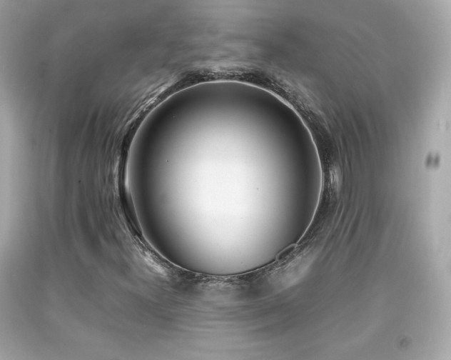 X0000092091300200709121504