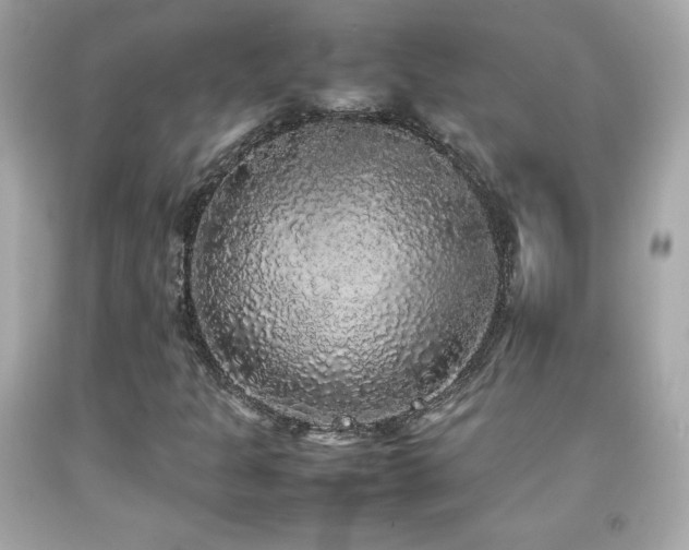 X0000092091301200709121504