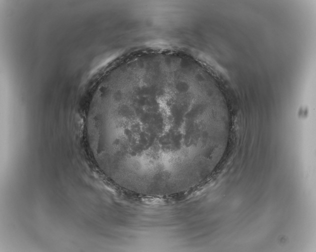 X0000092091302200709121504