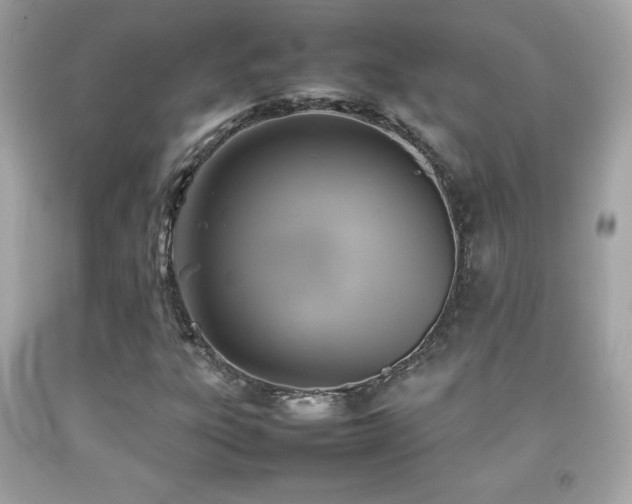 X0000092091303200709121504