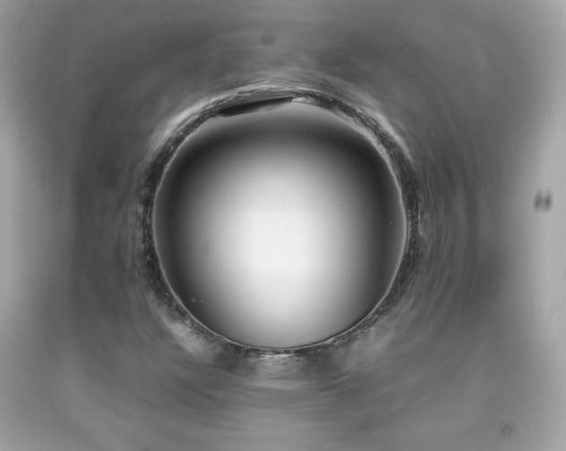 X0000092091304200709121504
