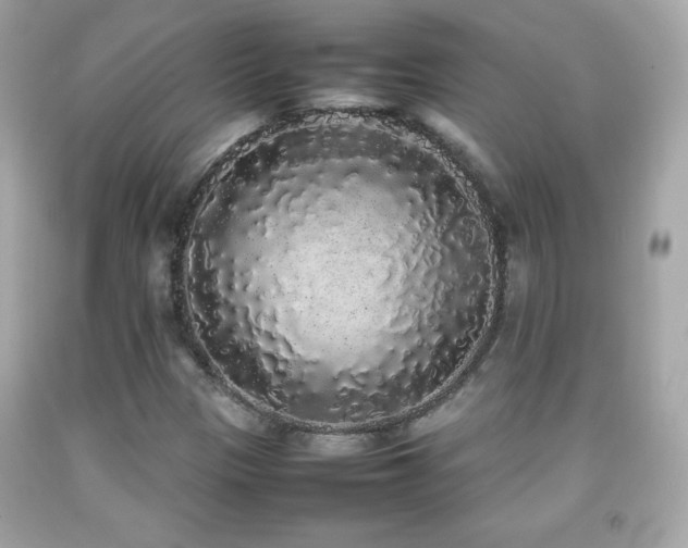 X0000092091305200709121504