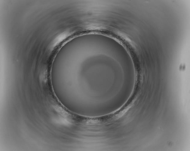 X0000092091306200709121504