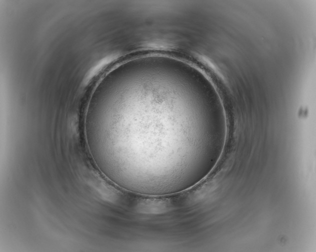 X0000092091307200709121504