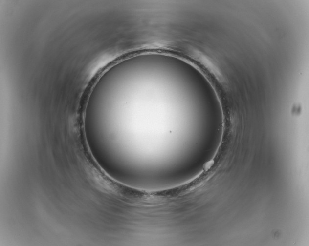 X0000092091308200709121504