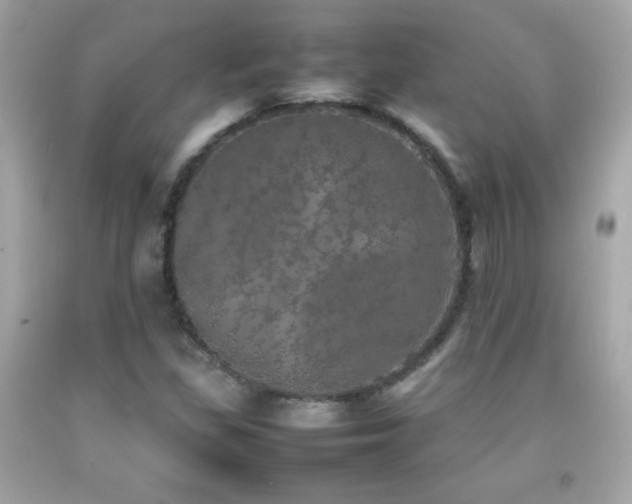 X0000092091309200709121504