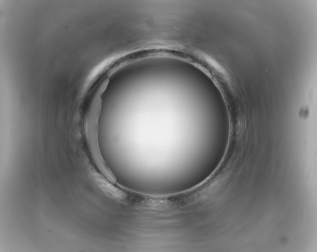 X0000092091310200709121504