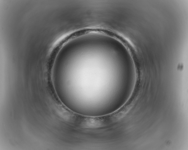 X0000092091311200709121504