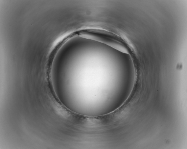 X0000092091312200709121504