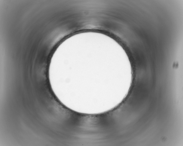 X0000092091314200709121504