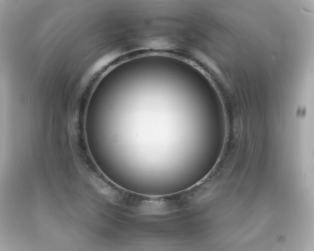 X0000092091315200709121504